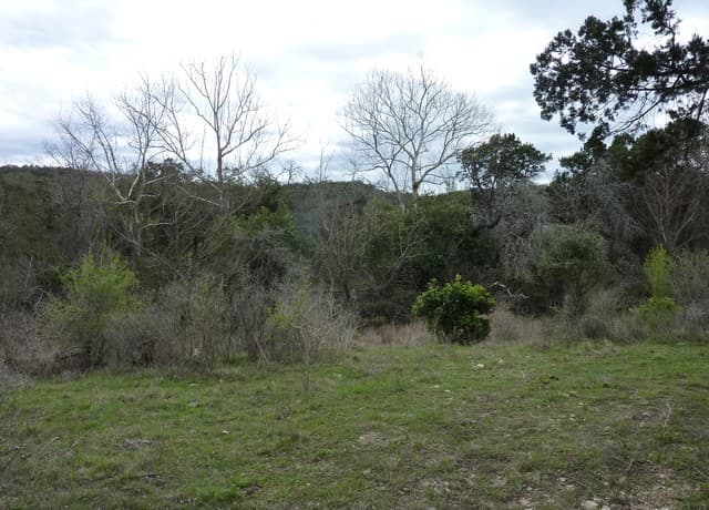 Home for sale at 17032 Scenic Loop Road in Helotes, TX — photo 2