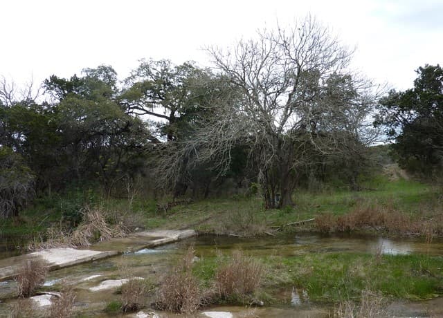 Home for sale at 17032 Scenic Loop Road in Helotes, TX — photo 5