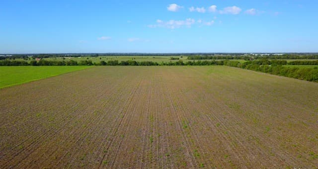 rental at 0000 NE Santa Clara Rd in Marion, TX — photo 5