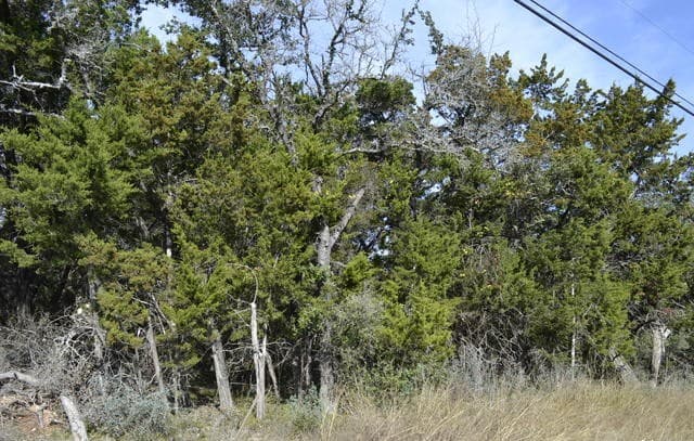 rental at LOT 304 Whartons Dock in Bandera, TX — photo 2