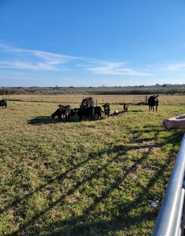 rental at 13857 Us Highway 87 S in Adkins, TX — photo 5