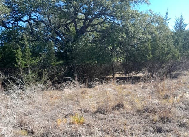 rental at 232 Hiram Cook in Blanco, TX — photo 1