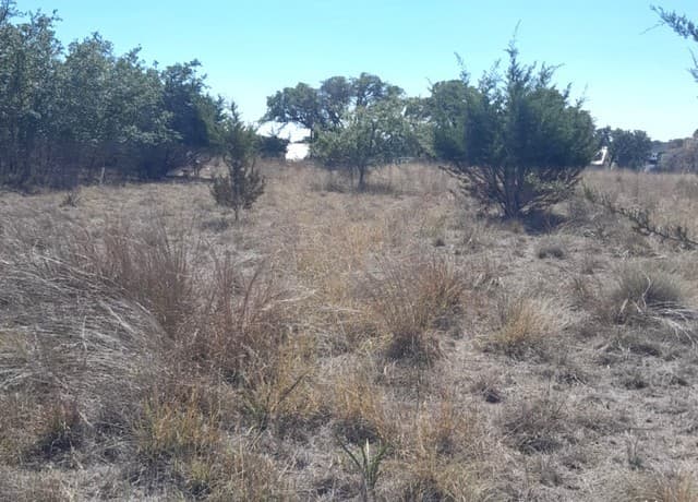 rental at 232 Hiram Cook in Blanco, TX — photo 3