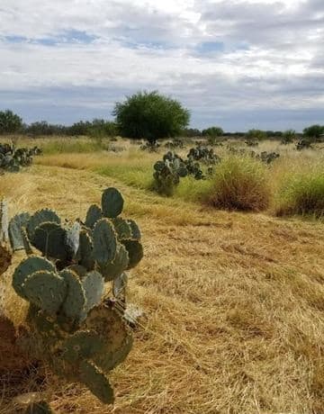 rental at 0 Hwy-85 in Dilley, TX — photo 1