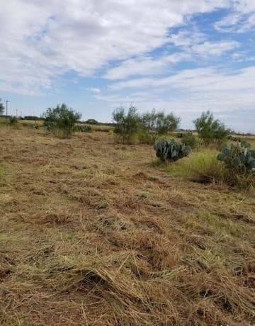 rental at 0 Hwy-85 in Dilley, TX — photo 5