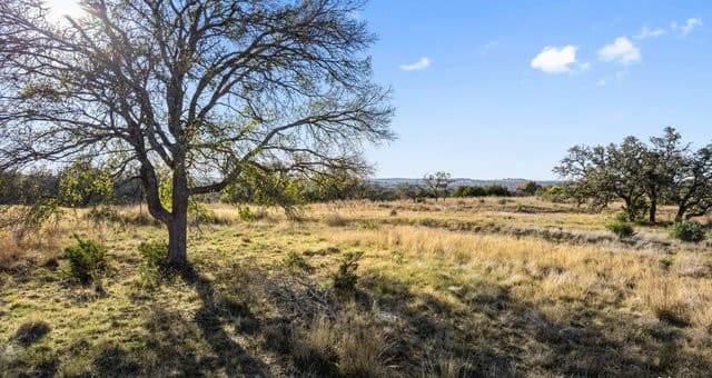 rental at LOT 91 Axis Cir in Fredericksburg, TX — photo 2