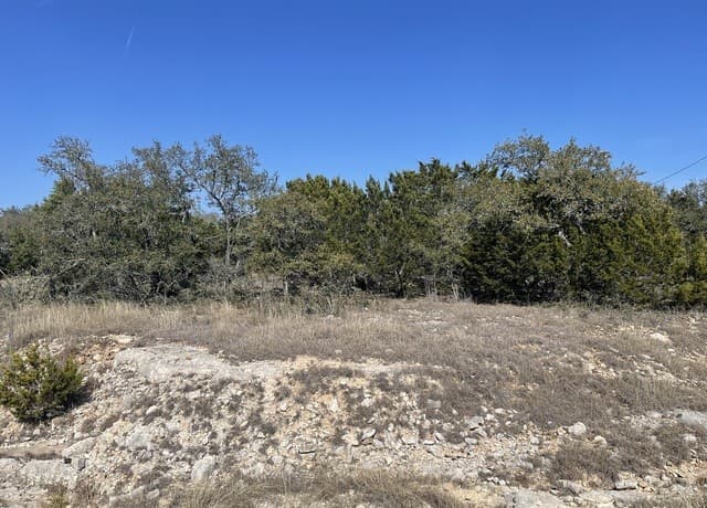 rental at 601 S Calvin Barrett in Blanco, TX — photo 4