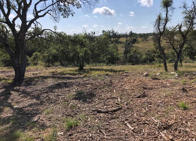 rental at LOT 8 Longview Drive in Fredericksburg, TX — photo 3