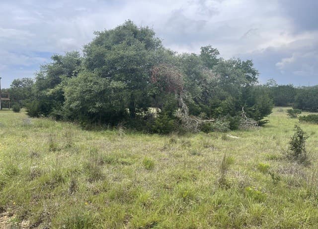 rental at 114 George Dolson in Blanco, TX — photo 5
