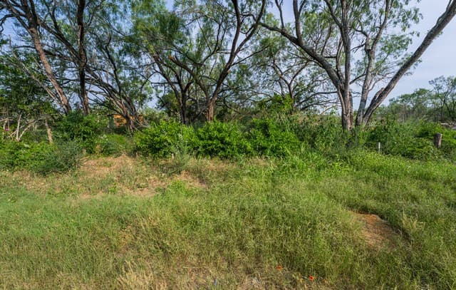 rental at TBD W Jett Rd in San Antonio, TX — photo 5