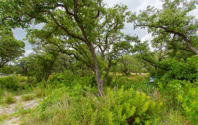 rental at LOT 54 Clear Water Cyn in Helotes, TX — photo 5