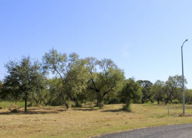 rental at 185 E Short Meadow Drive in Lytle, TX — photo 1