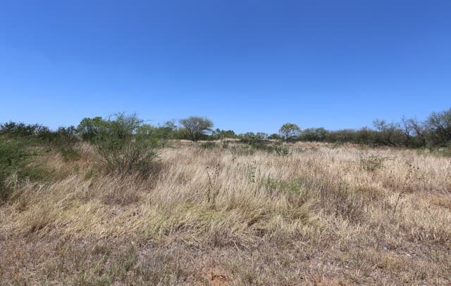 rental at 109 County Road 2638 in Devine, TX — photo 3