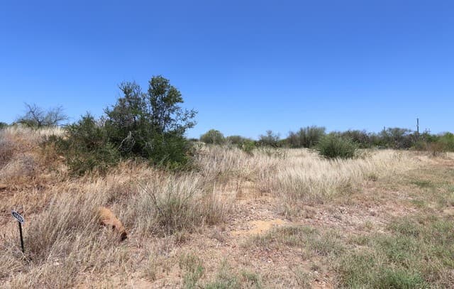 rental at 103 County Road 2638 in Devine, TX — photo 4