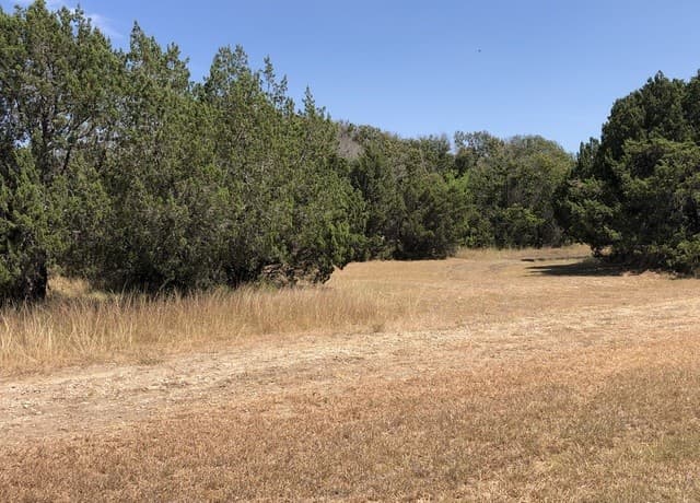rental at 4200 Bell Ln in Selma, TX — photo 2