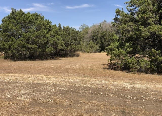 rental at 4200 Bell Ln in Selma, TX — photo 3