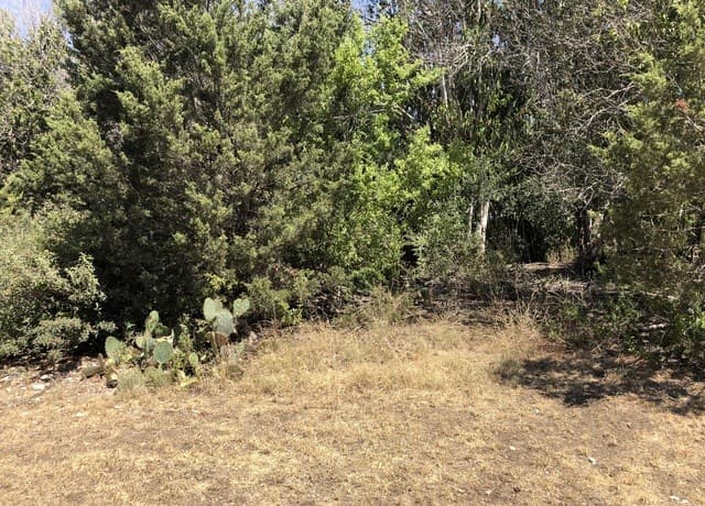 rental at 4200 Bell Ln in Selma, TX — photo 4