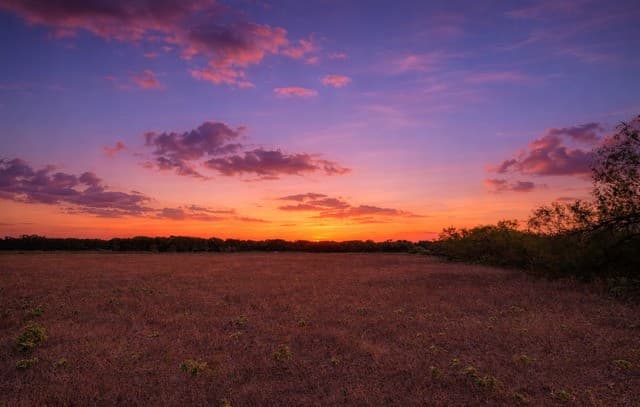 rental at 4401 Hardy Rd in Elmendorf, TX — photo 1