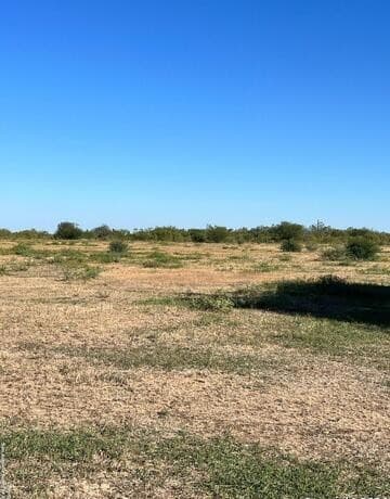 rental at TBD Graytown Road in St Hedwig, TX — photo 3