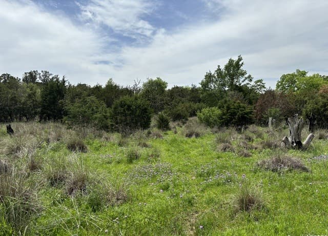 rental at 4.31 ACRES Walnut Grove Rd in Boerne, TX — photo 2