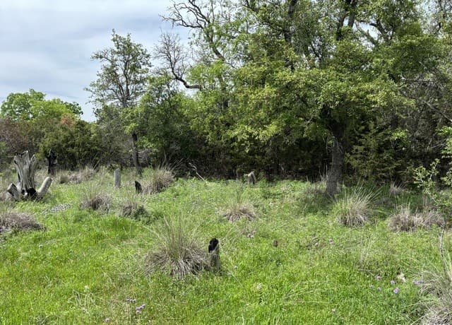 rental at 4.31 ACRES Walnut Grove Rd in Boerne, TX — photo 5