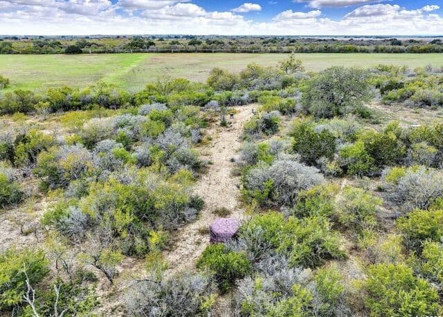 rental at 2049 County Road 451 in Hondo, TX — photo 5