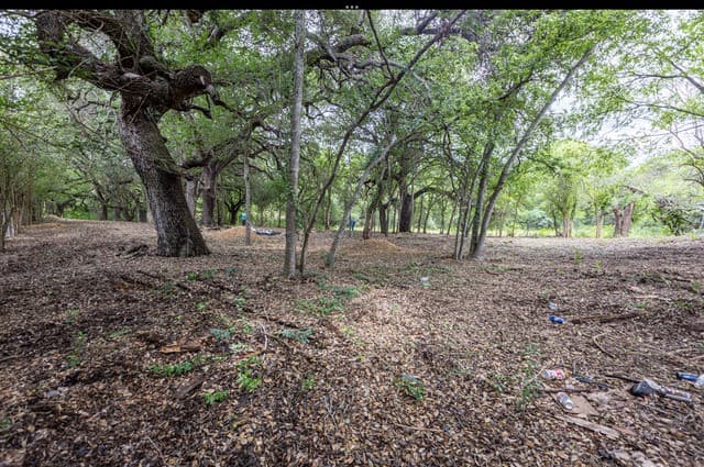 rental at 999 Pecan Valley Dr in San Antonio, TX — photo 2