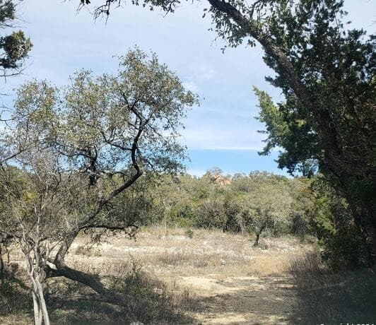 rental at 14465 Chinquapin in Helotes, TX — photo 4