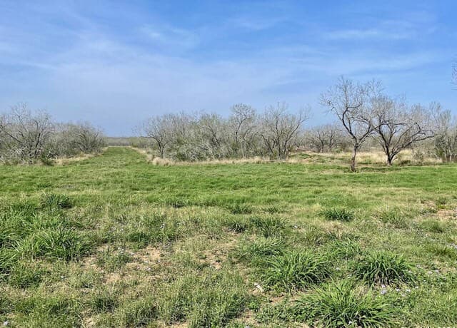 rental at TRACT 8 Fm 1332 in Jourdanton, TX — photo 1