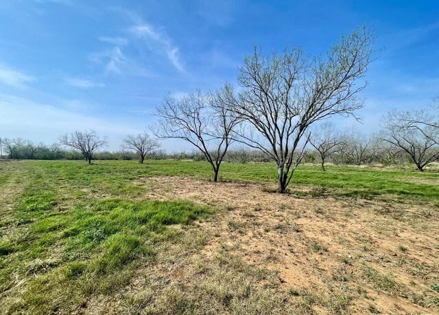 rental at TRACT 8 Fm 1332 in Jourdanton, TX — photo 3