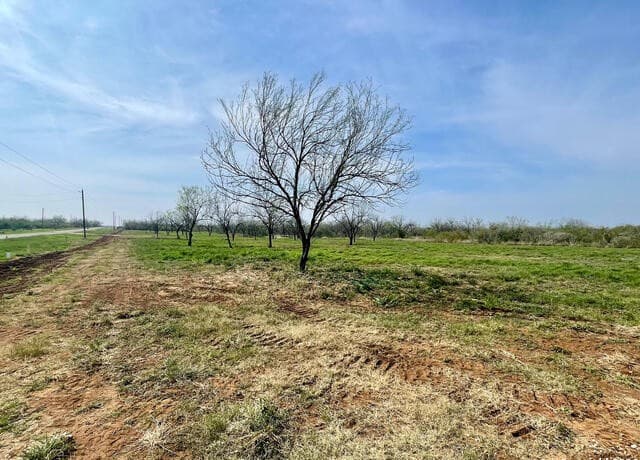 rental at TRACT 8 Fm 1332 in Jourdanton, TX — photo 5