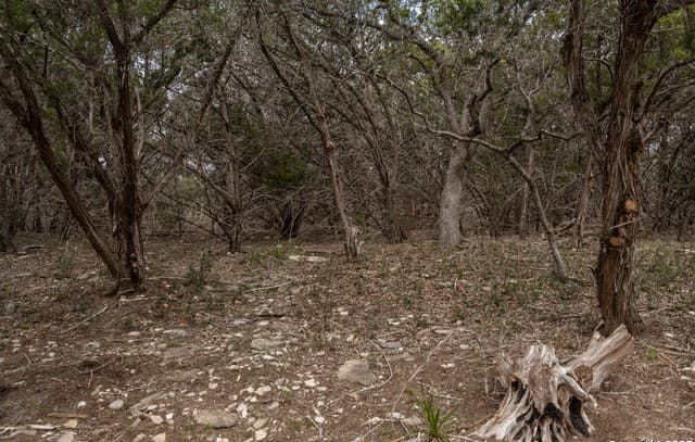 Home for sale at 129 Stallion Estates in Spring Branch, TX — photo 4
