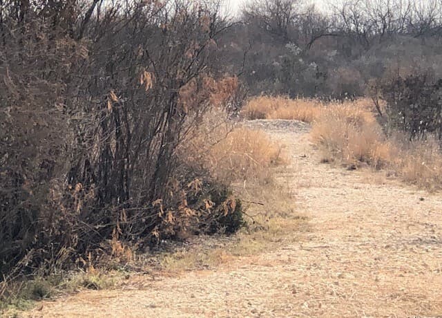 rental at NATUS Natus in Fowlerton, TX — photo 3