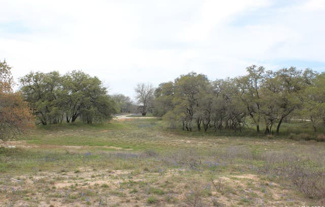 rental at 818 Encino Way in Natalia, TX — photo 1