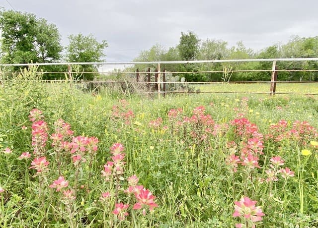 rental at 210 Shamrock Dr in Floresville, TX — photo 2
