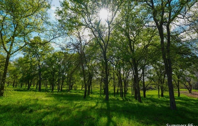 rental at LT11 Vintners Way in Fredericksburg, TX — photo 5