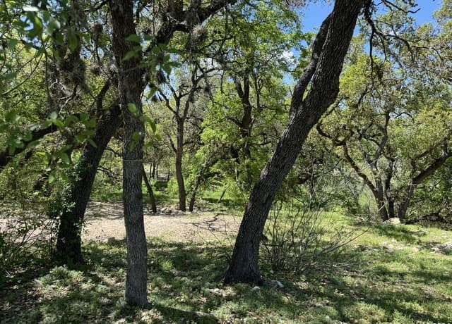 rental at 56 Eton Green Cir in San Antonio, TX — photo 1