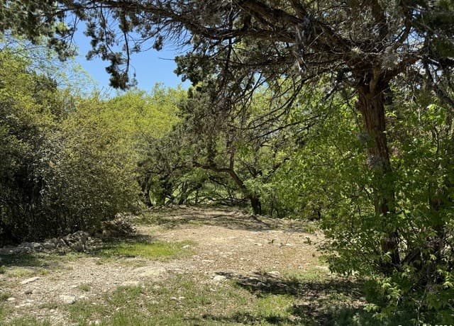 rental at 56 Eton Green Cir in San Antonio, TX — photo 3