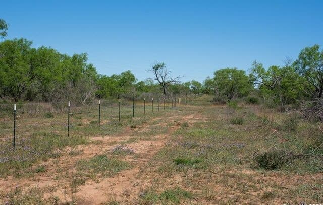 rental at TRACT 9 Fm 1332 in Jourdanton, TX — photo 3