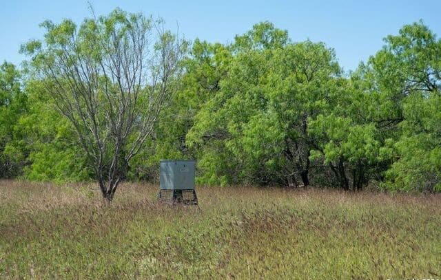 rental at TRACT 9 Fm 1332 in Jourdanton, TX — photo 5