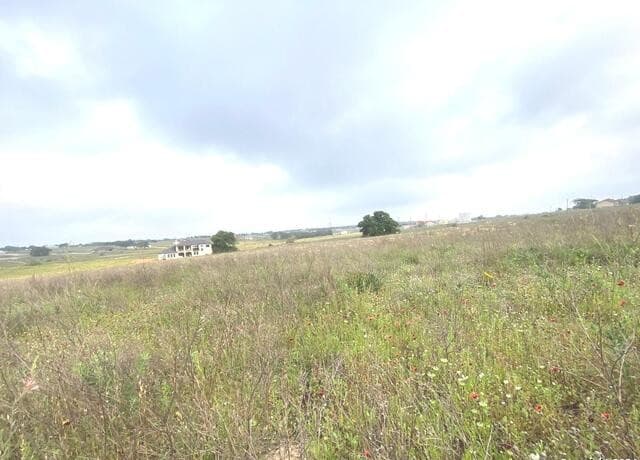 rental at 618 Lakeridge Ln in La Vernia, TX — photo 5
