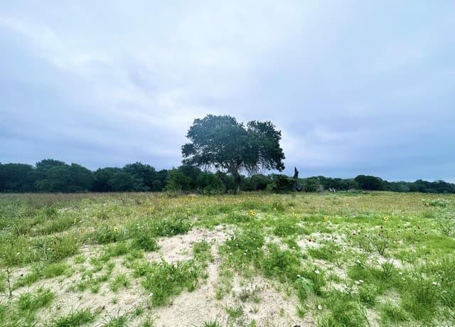 rental at 718 Sunrise Ln in La Vernia, TX — photo 2