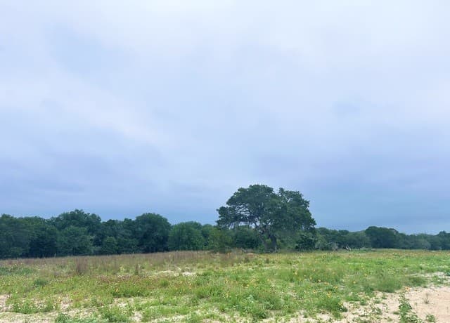 rental at 718 Sunrise Ln in La Vernia, TX — photo 5