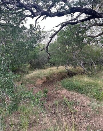 rental at 7507 New Sulphur Springs Rd in San Antonio, TX — photo 5