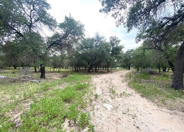 rental at 1550 E Hickory Ln in San Antonio, TX — photo 3
