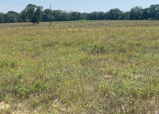 rental at 918 Fallbrook Ln in La Vernia, TX — photo 4
