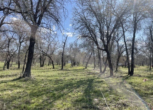 rental at 375 County Road in Natalia, TX — photo 1