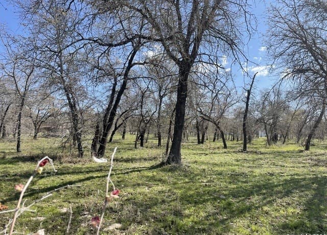 rental at 375 County Road in Natalia, TX — photo 2
