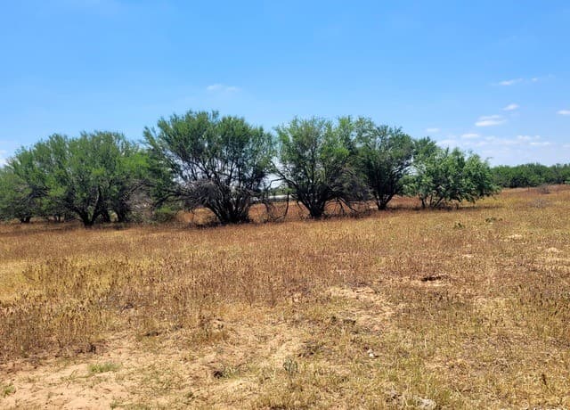 rental at LOT 4 OF 7 Bar R Lane in Floresville, TX — photo 4