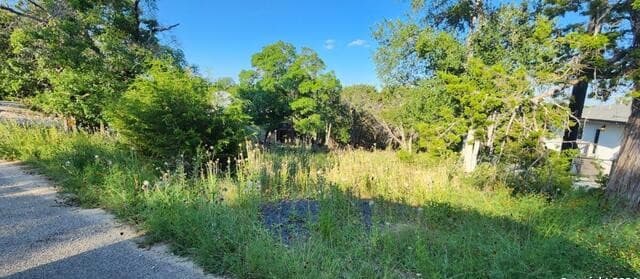 rental at 1697 Winding Creek in Spring Branch, TX — photo 2